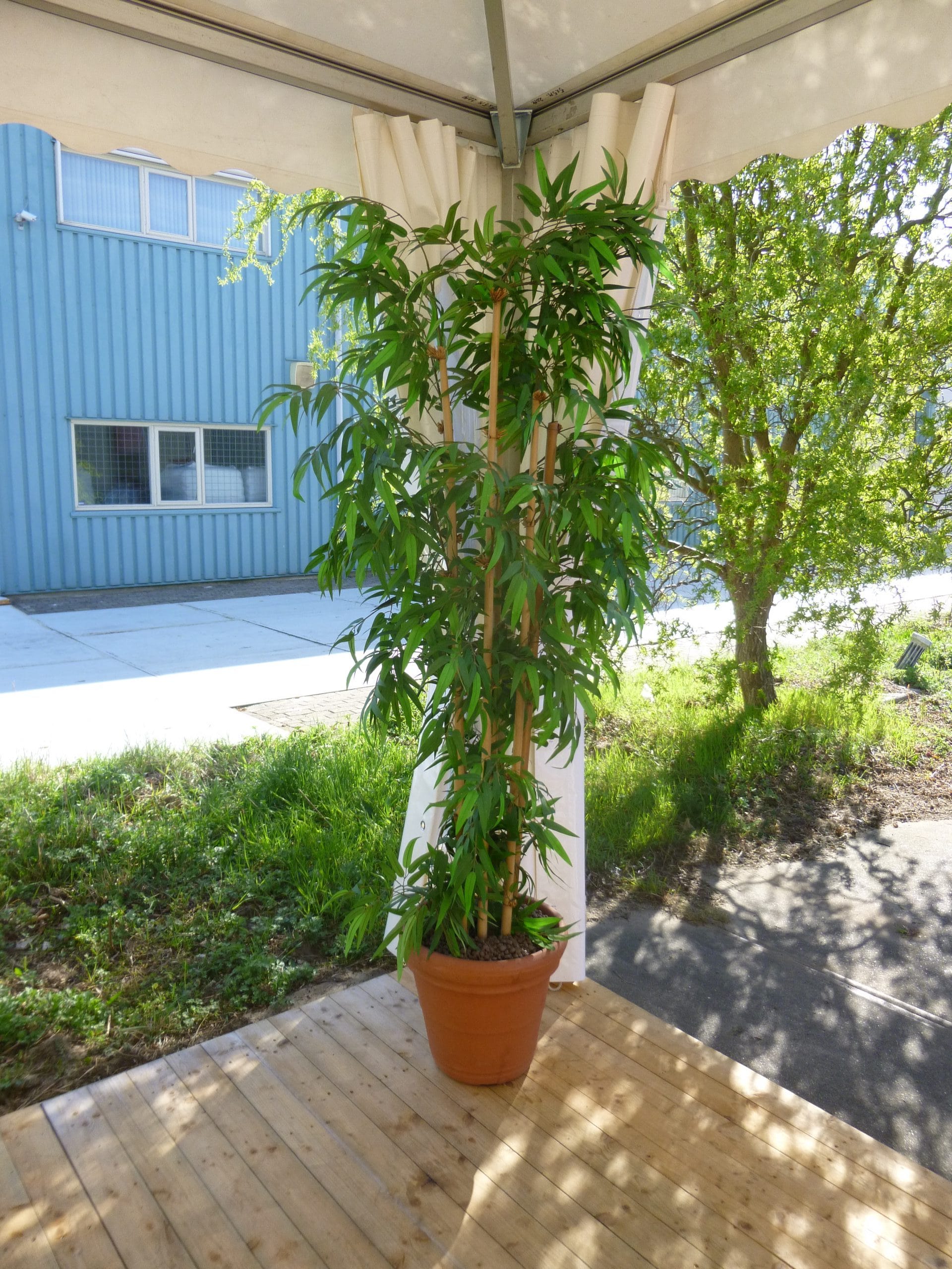 Plantdecoraties